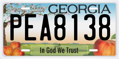 GA license plate PEA8138