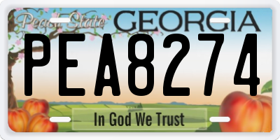 GA license plate PEA8274