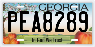 GA license plate PEA8289