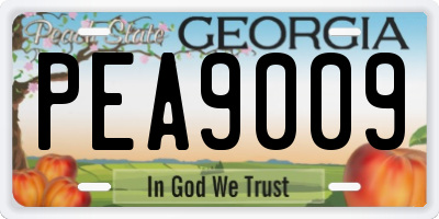 GA license plate PEA9009