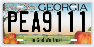 GA license plate PEA9111