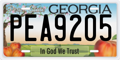 GA license plate PEA9205