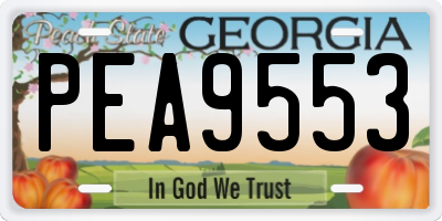 GA license plate PEA9553