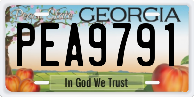 GA license plate PEA9791