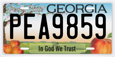 GA license plate PEA9859
