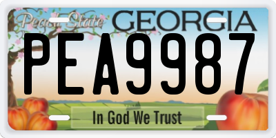 GA license plate PEA9987