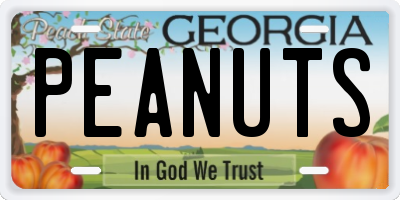 GA license plate PEANUTS