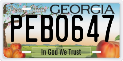 GA license plate PEB0647