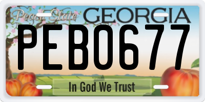 GA license plate PEB0677