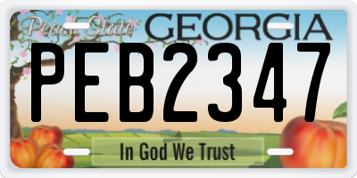 GA license plate PEB2347