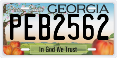 GA license plate PEB2562