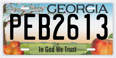 GA license plate PEB2613