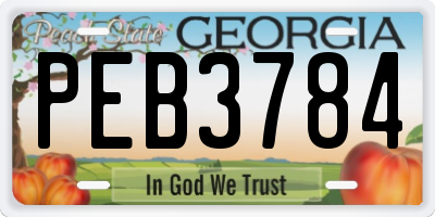 GA license plate PEB3784