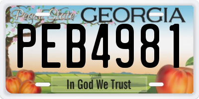 GA license plate PEB4981