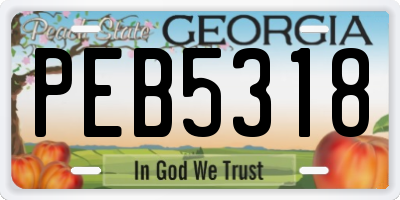 GA license plate PEB5318