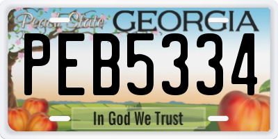 GA license plate PEB5334