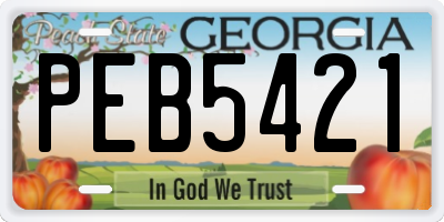 GA license plate PEB5421