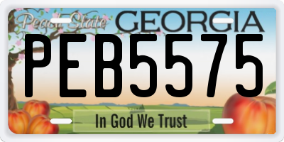 GA license plate PEB5575