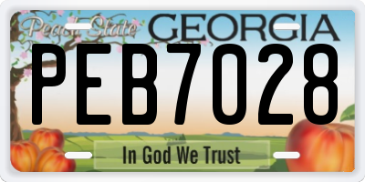 GA license plate PEB7028