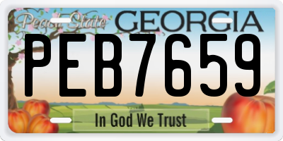 GA license plate PEB7659