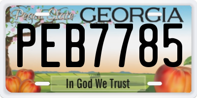 GA license plate PEB7785
