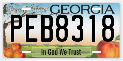 GA license plate PEB8318