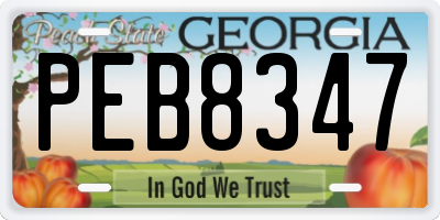 GA license plate PEB8347