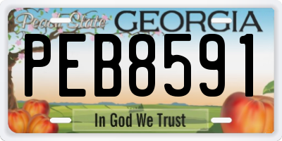 GA license plate PEB8591