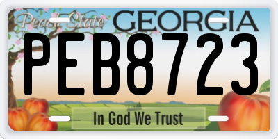 GA license plate PEB8723