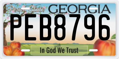 GA license plate PEB8796