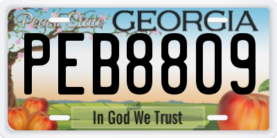 GA license plate PEB8809