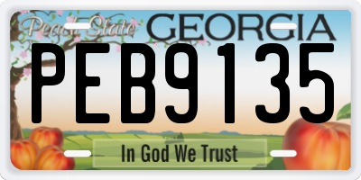 GA license plate PEB9135