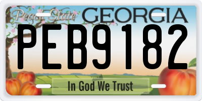 GA license plate PEB9182
