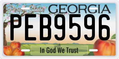GA license plate PEB9596