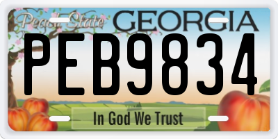 GA license plate PEB9834