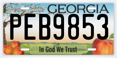 GA license plate PEB9853