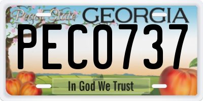 GA license plate PEC0737