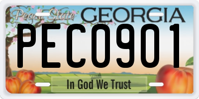 GA license plate PEC0901