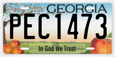 GA license plate PEC1473