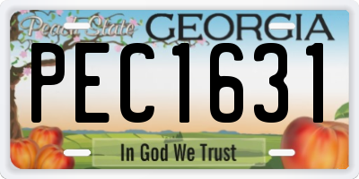 GA license plate PEC1631