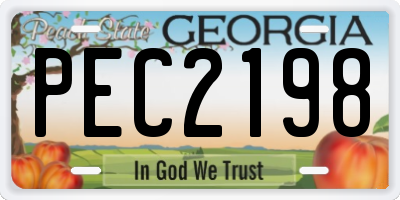 GA license plate PEC2198