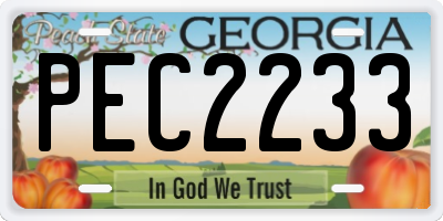 GA license plate PEC2233