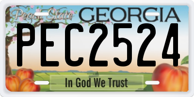 GA license plate PEC2524