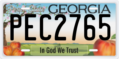 GA license plate PEC2765