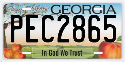 GA license plate PEC2865