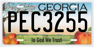 GA license plate PEC3255