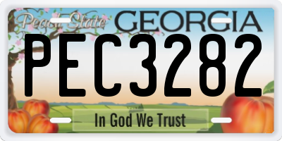 GA license plate PEC3282