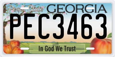 GA license plate PEC3463