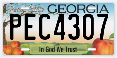 GA license plate PEC4307