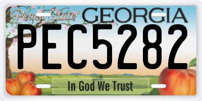 GA license plate PEC5282